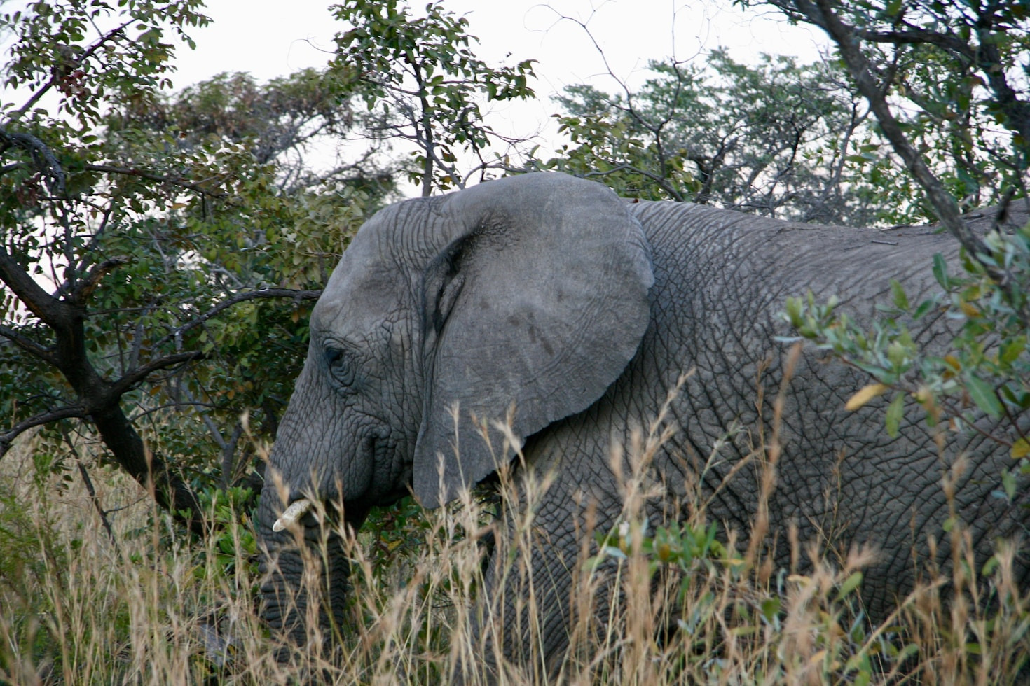 How Visual Storytelling Drives Environmental Impact