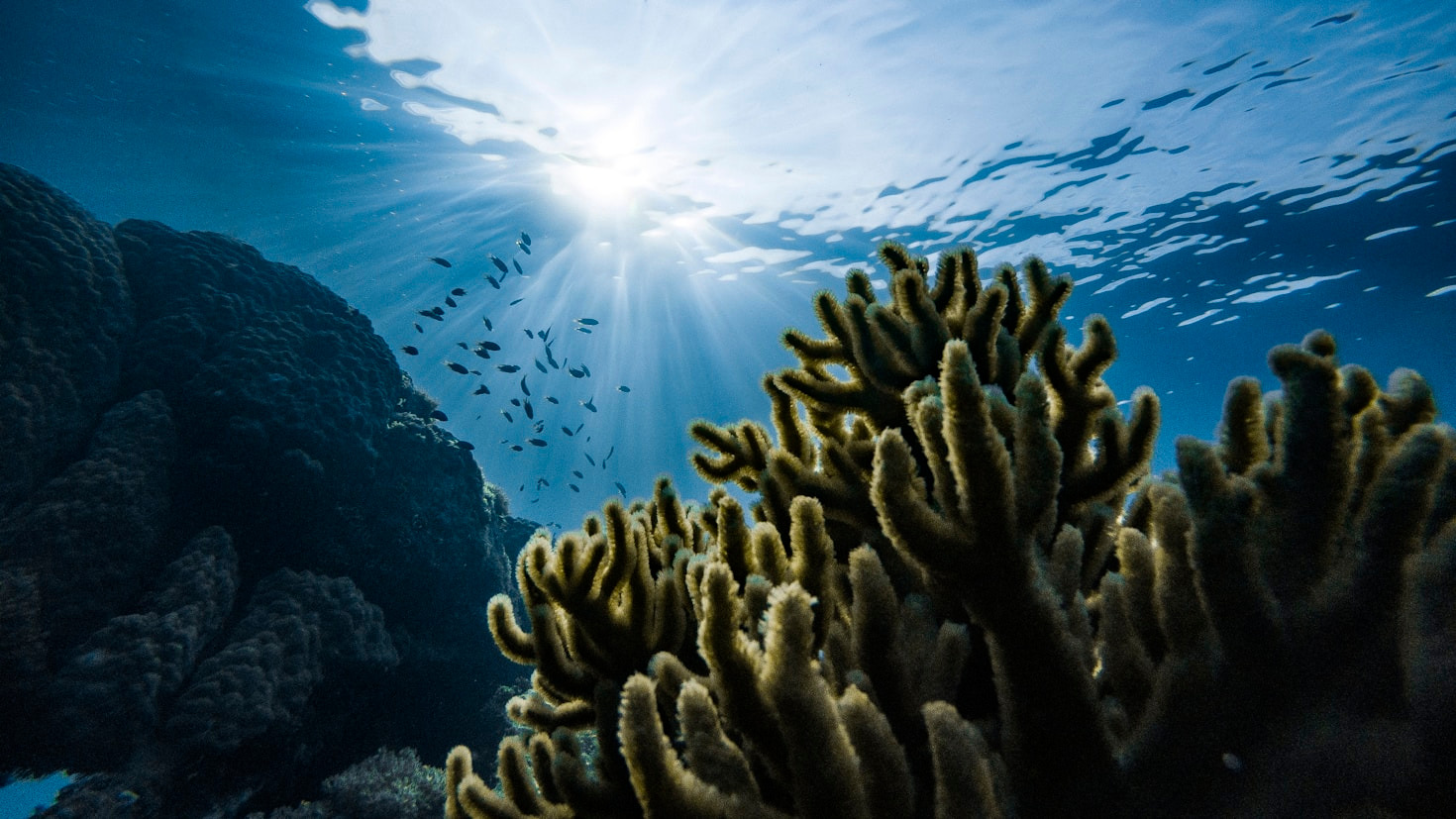 Ethical Practices For Wildlife And Nature Photography