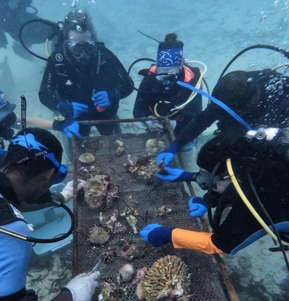 Marine scientists and divers tending to coral nursery in Watamu Kenya